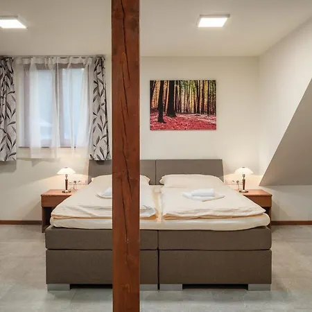 Hotel Wellness Ondrasuv Dvur Bila (Moravia-Silesia)