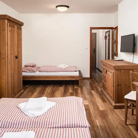Wellness Ondrasuv Dvur Hotel