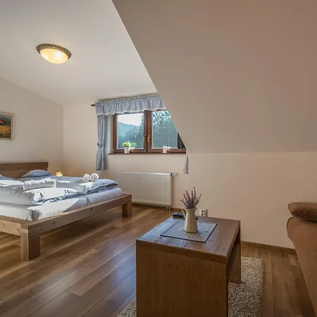 Hotel Wellness Ondrasuv Dvur